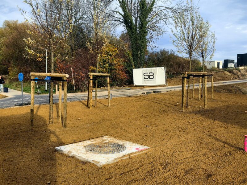 Însămânțare gazon