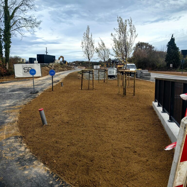 Însămânțare gazon