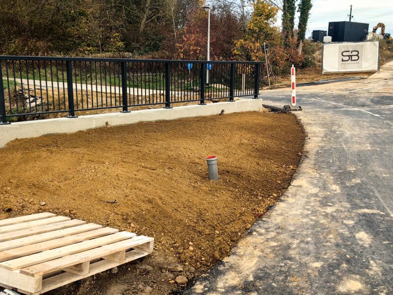 Însămânțare gazon