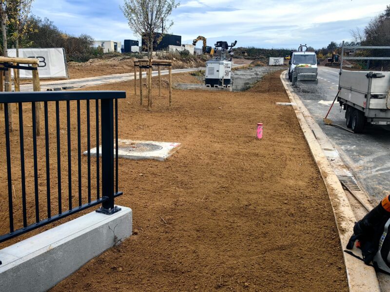 Însămânțare gazon