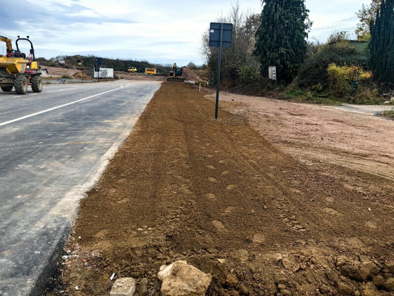 Însămânțare gazon