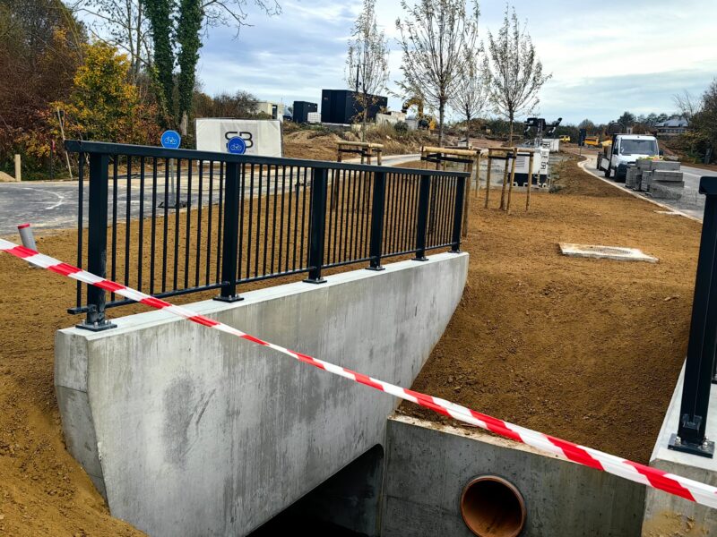 Însămânțare gazon